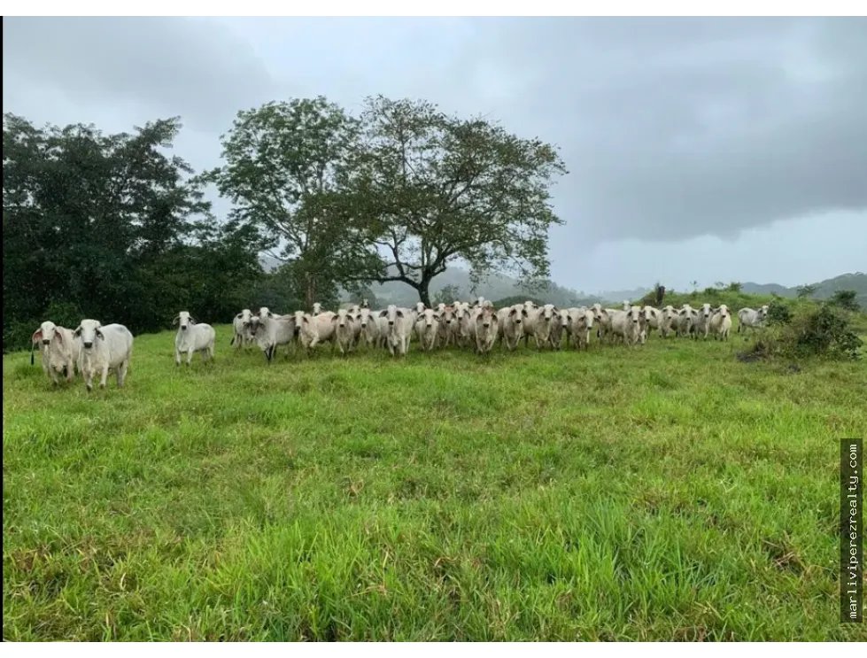 Se vende terreno en Soná-Veraguas, Panamá
