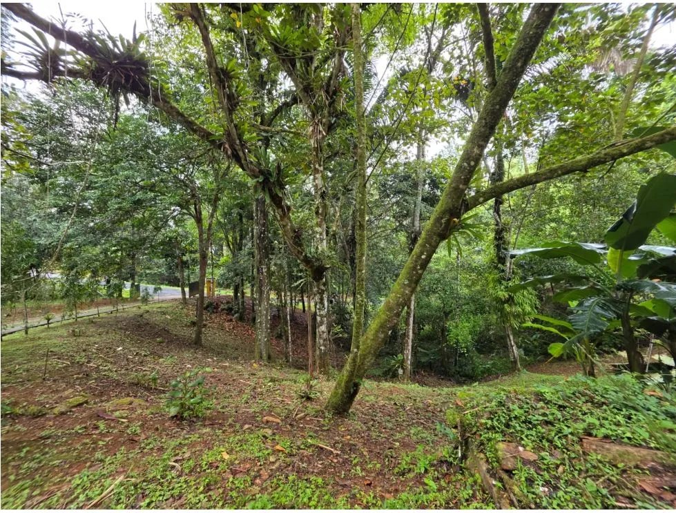 Terreno à Venda em Cerro Azul