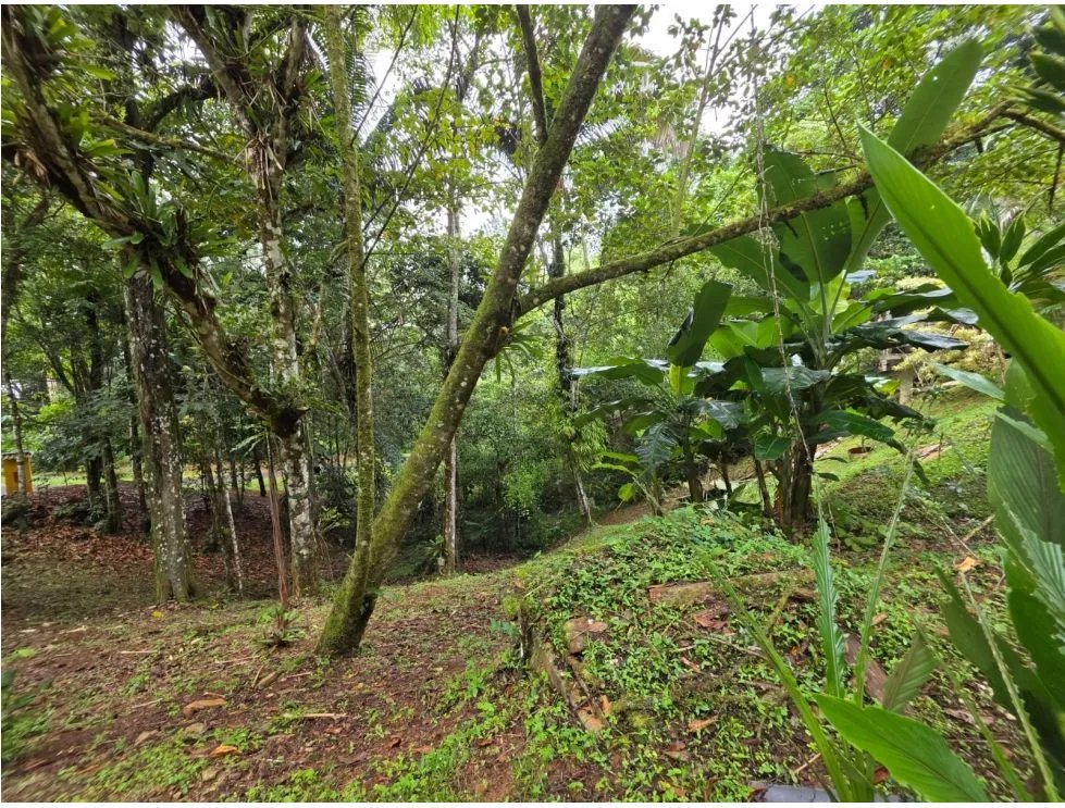 Terreno à Venda em Cerro Azul