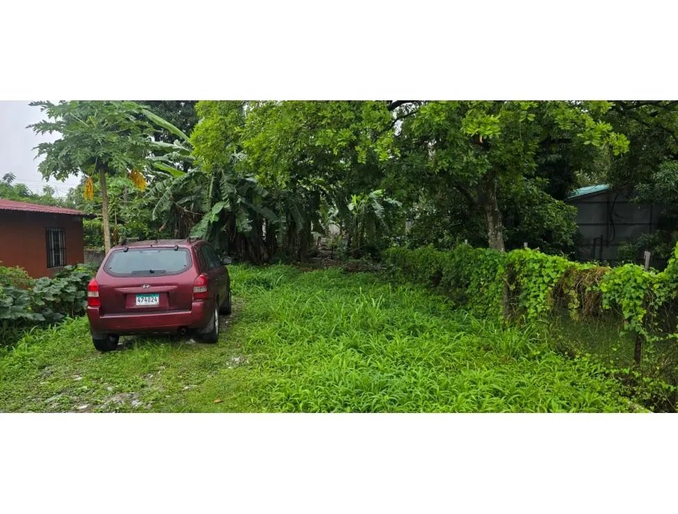 Terreno à Venda em Parque Lefevre