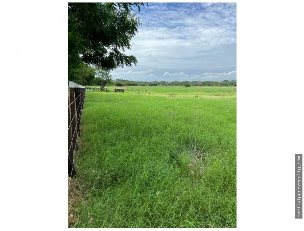 Land Sale in Chitré