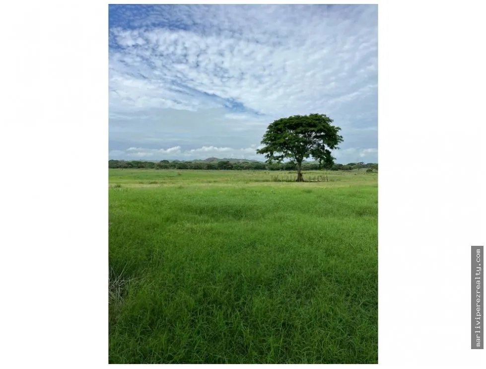 Land Sale in Chitré
