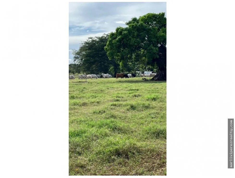 Land Sale in Chitré