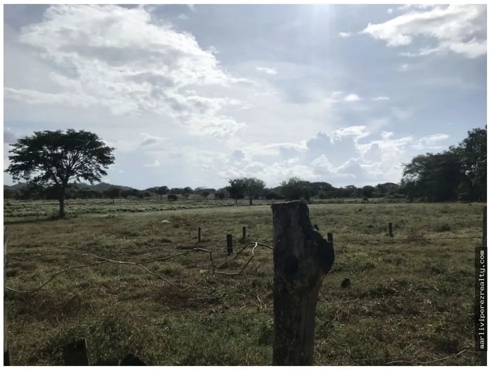 Land Sale in Chitré