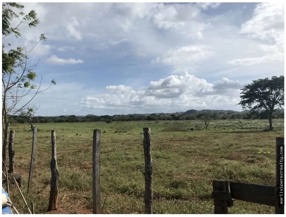 Land Sale in Chitré