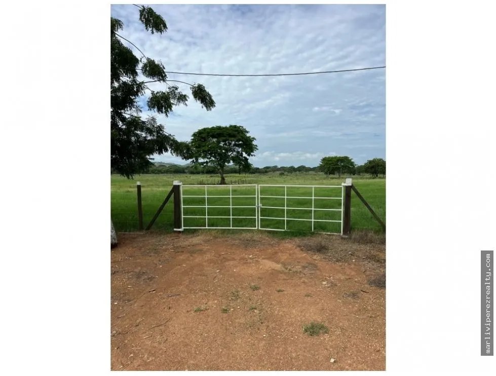 Land Sale in Chitré