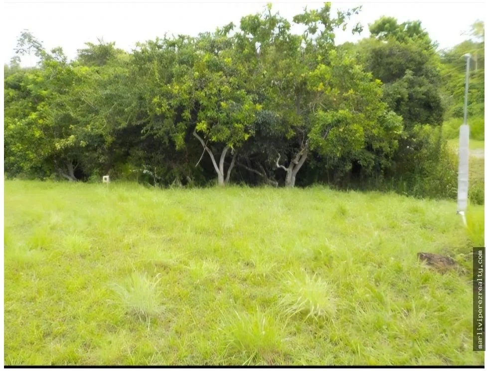 LAND FOR SALE IN SAN CARLOS, GREAT DEAL