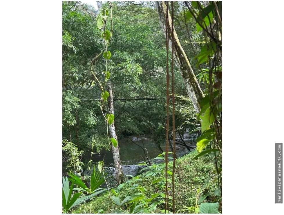 Terreno à Venda em Capira