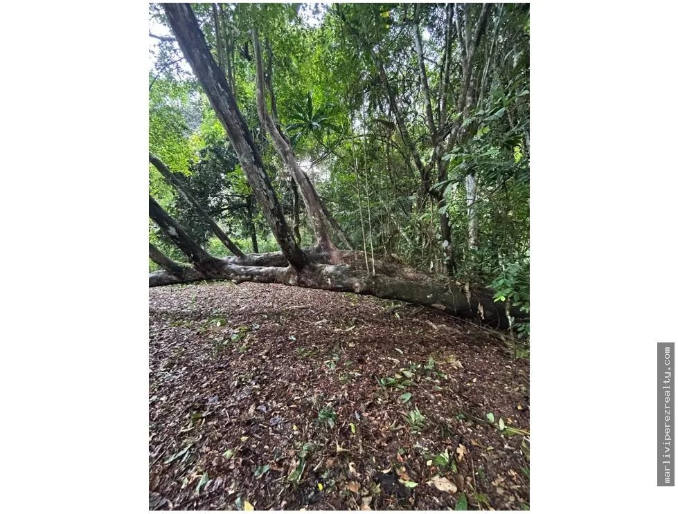 Terreno à Venda em Capira