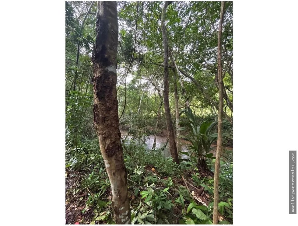 Terreno à Venda em Capira