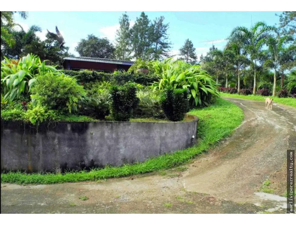 Rural Farm for Sale – Pico Pixbae, Penonomé, Coclé