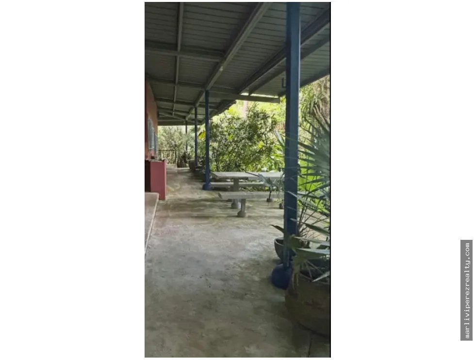 FINCA CAMPESTRE EN VENTA – PICO PIXBAE, PENONOMÉ, COCLÉ