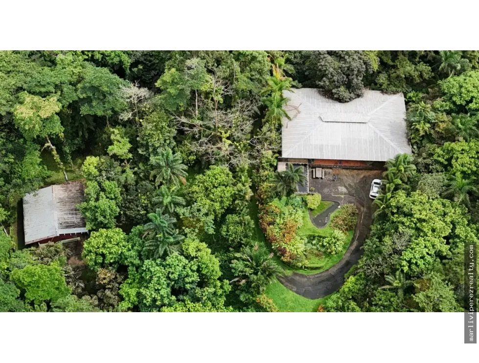 FINCA CAMPESTRE EN VENTA – PICO PIXBAE, PENONOMÉ, COCLÉ