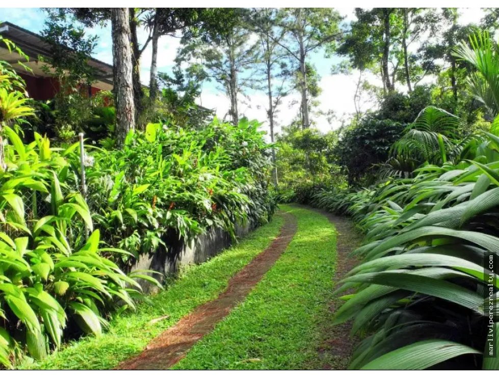 FINCA CAMPESTRE EN VENTA – PICO PIXBAE, PENONOMÉ, COCLÉ