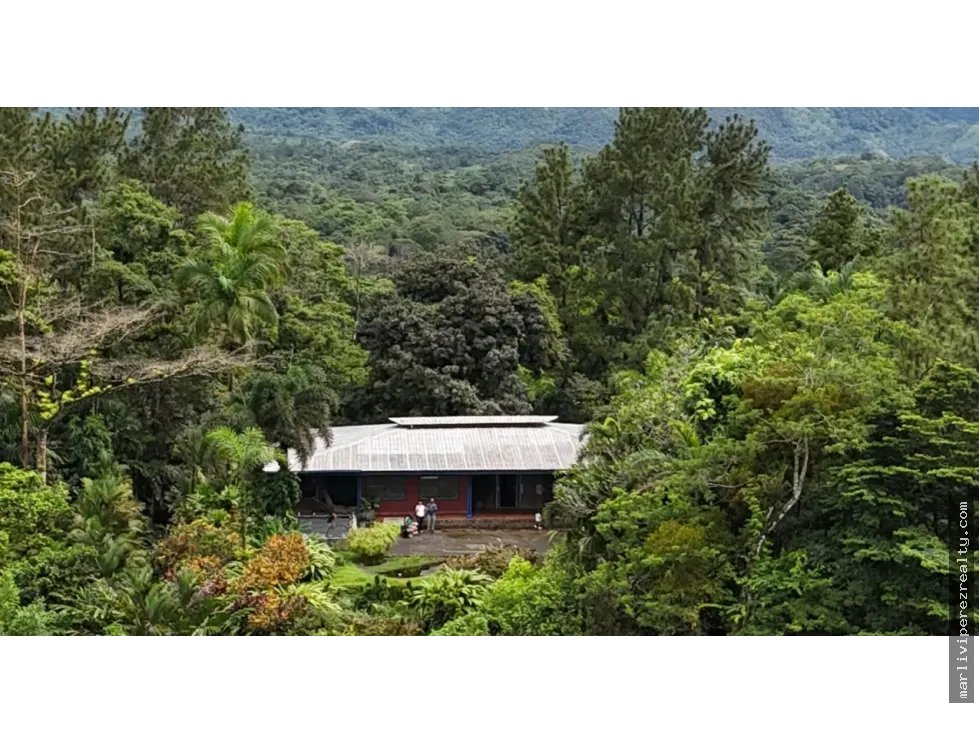 FINCA CAMPESTRE EN VENTA – PICO PIXBAE, PENONOMÉ, COCLÉ