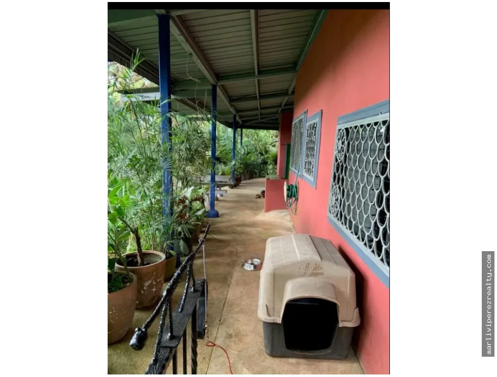 FINCA CAMPESTRE EN VENTA – PICO PIXBAE, PENONOMÉ, COCLÉ