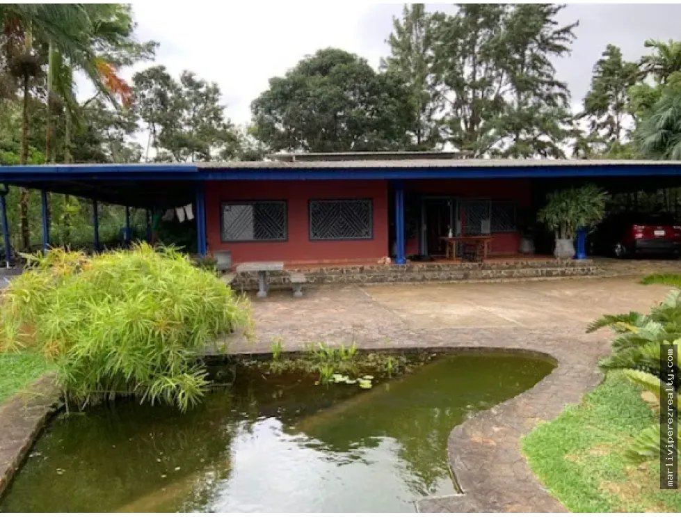 FINCA CAMPESTRE EN VENTA – PICO PIXBAE, PENONOMÉ, COCLÉ