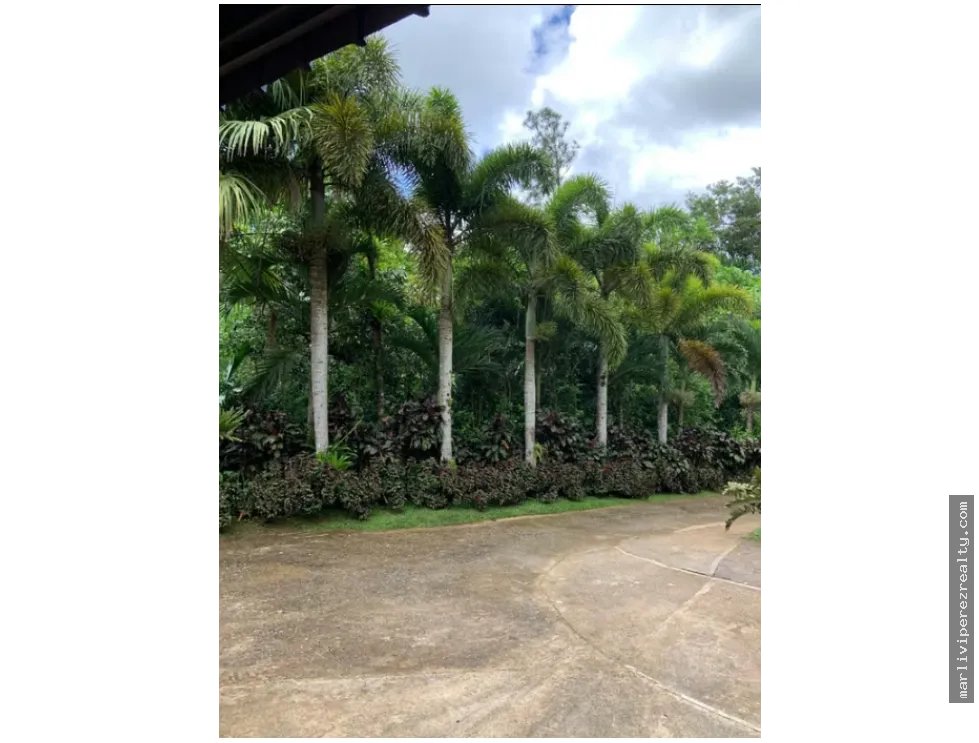 FINCA CAMPESTRE EN VENTA – PICO PIXBAE, PENONOMÉ, COCLÉ