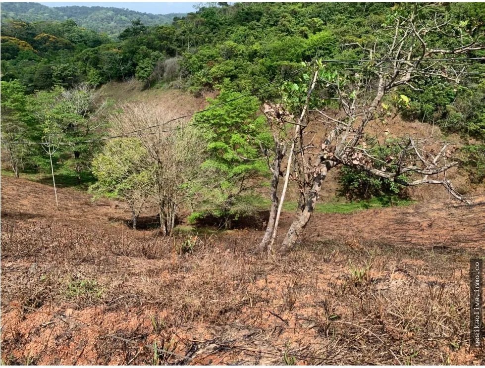 Terreno à Venda em Chepo