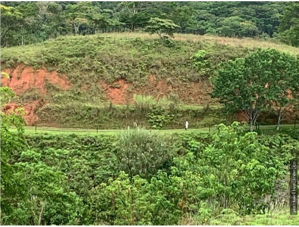 Terreno à Venda em Chepo