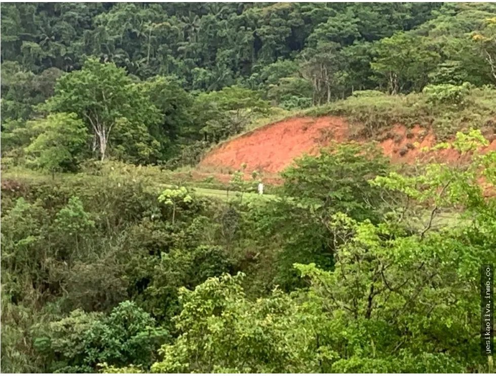 Terreno à Venda em Chepo