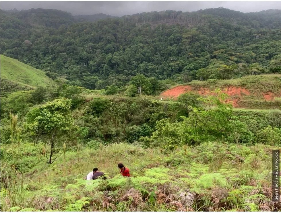 Terreno à Venda em Chepo