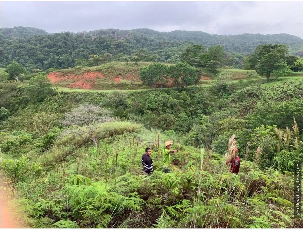 Terreno à Venda em Chepo