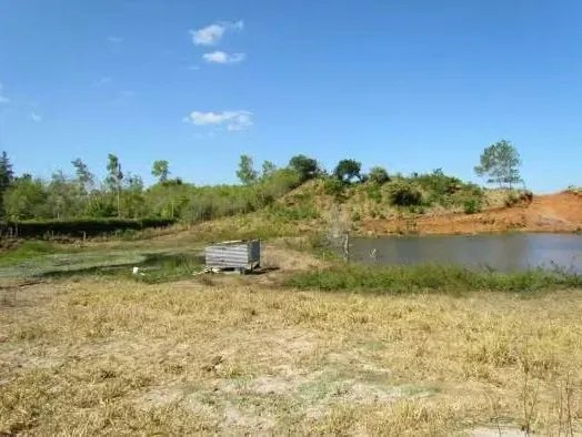Terreno / Finca de 46.2 Hectáreas en La Coloradita, Veraguas | Con Cas...