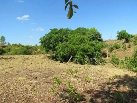 46.2 Hectare Land/Farm in La Coloradita, Veraguas | With House and Lake