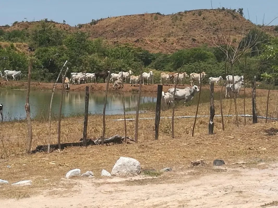 46.2 Hectare Land/Farm in La Coloradita, Veraguas | With House and Lake