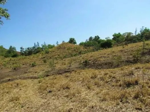 46.2 Hectare Land/Farm in La Coloradita, Veraguas | With House and Lake