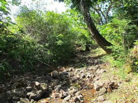 46.2 Hectare Land/Farm in La Coloradita, Veraguas | With House and Lake