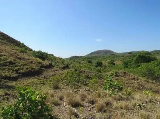 46.2 Hectare Land/Farm in La Coloradita, Veraguas | With House and Lake