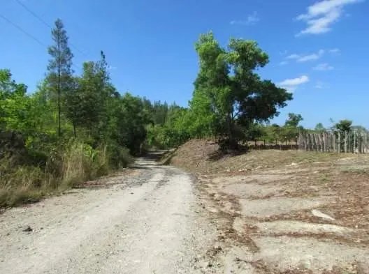 46.2 Hectare Land/Farm in La Coloradita, Veraguas | With House and Lake