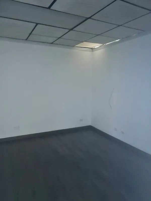 Ready to Operate! 218 m² Office in Obarrio