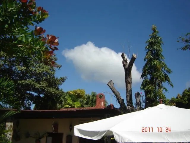 Casa para Alugar e à Venda em Antón