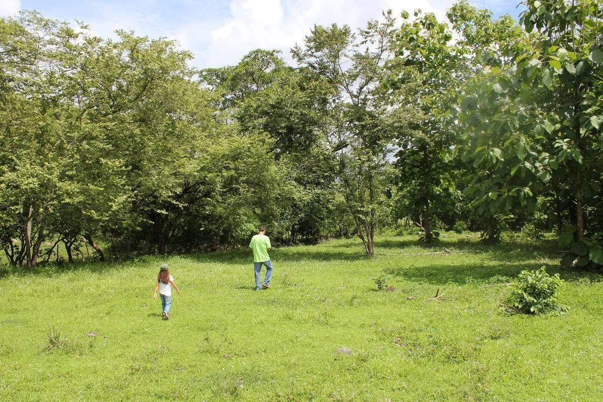 Building Lot for sale in Pacora