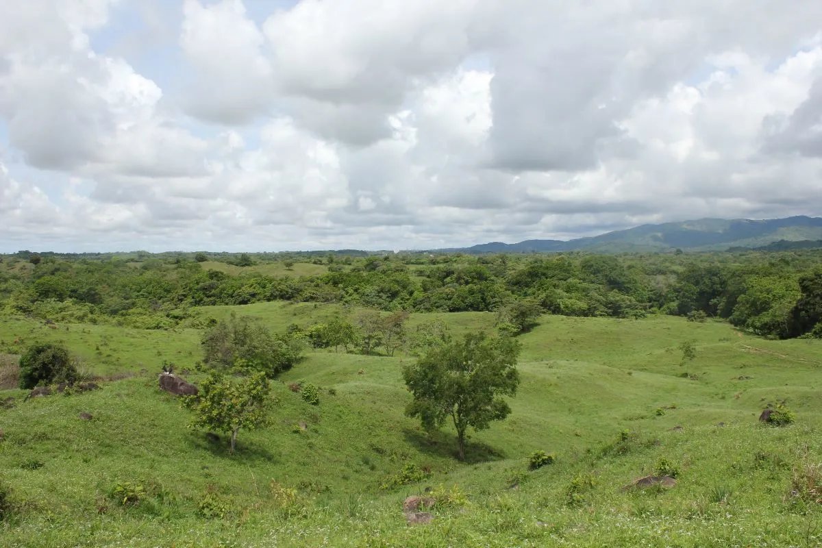 Building Lot for sale in Pacora