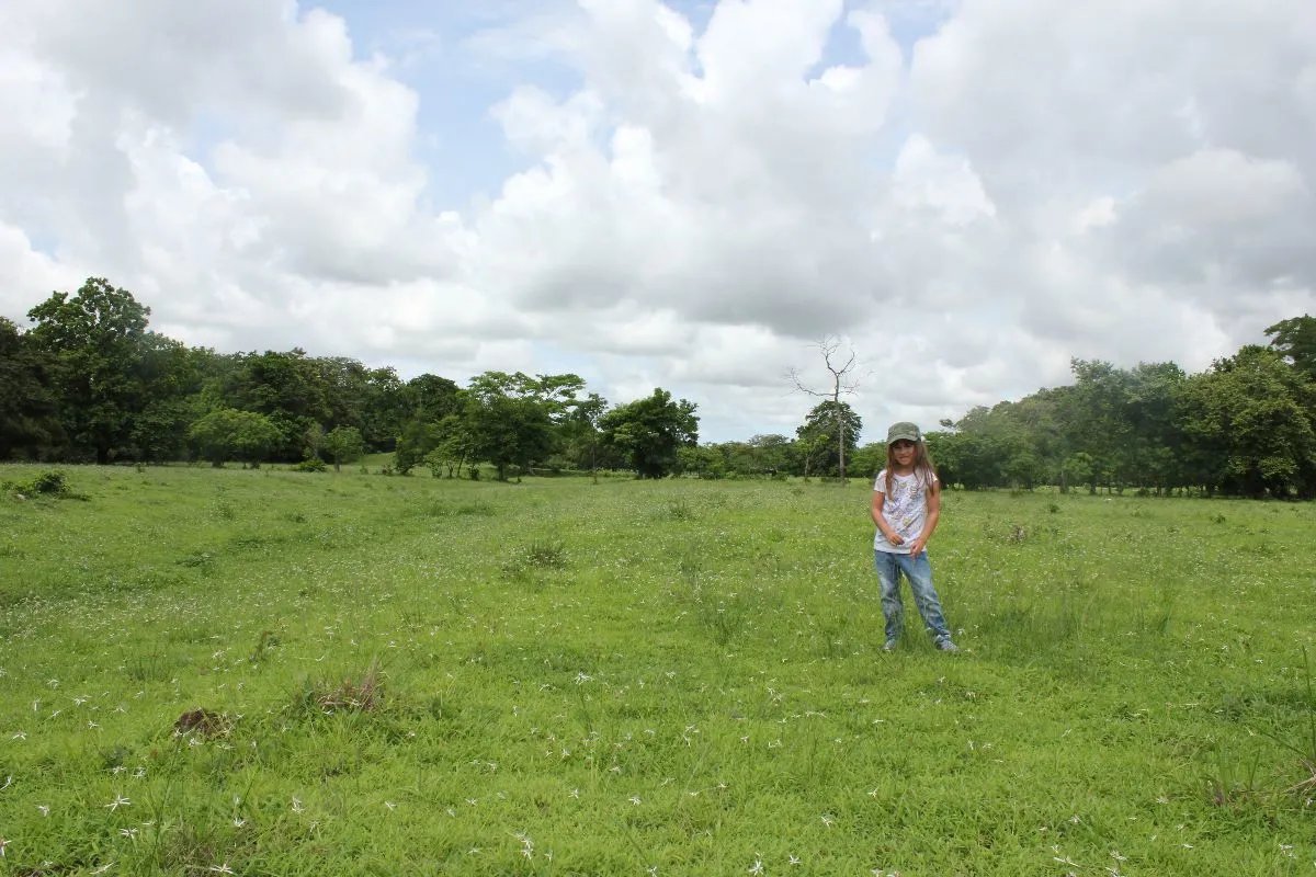 Building Lot for sale in Pacora