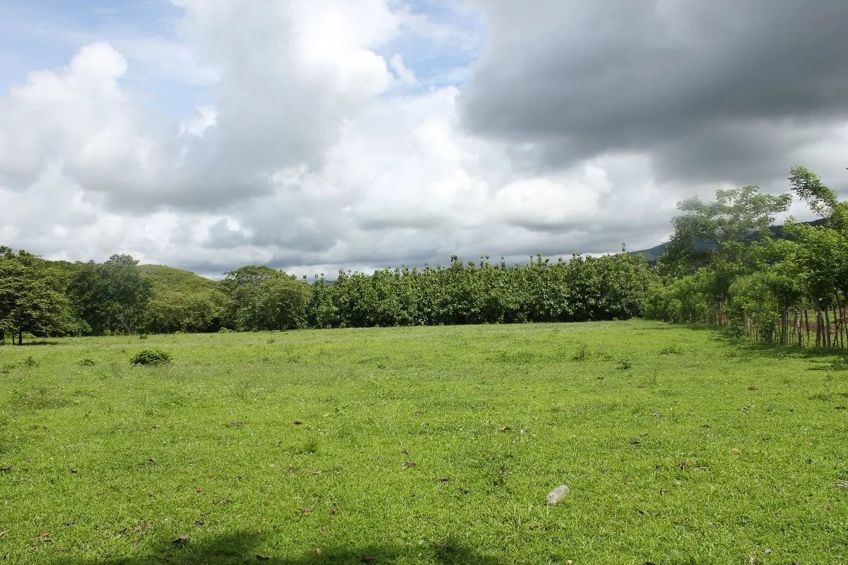Building Lot for sale in Pacora