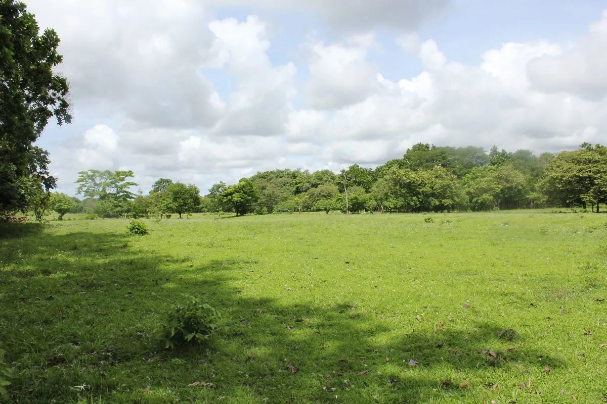 Building Lot for sale in Pacora