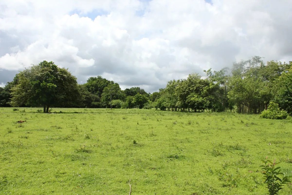 Building Lot for sale in Pacora