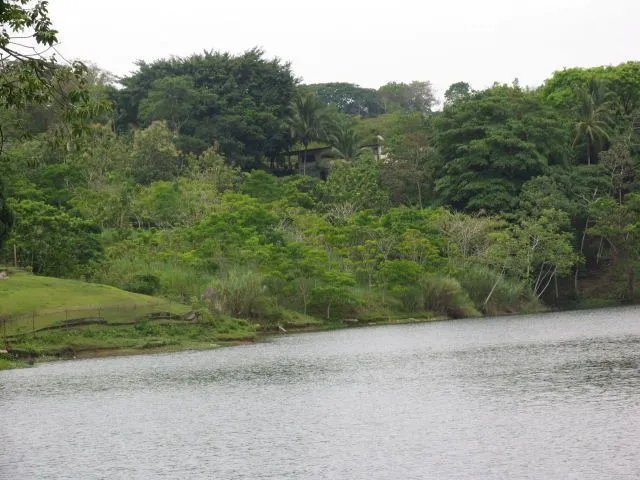 FRENTE AL LAGO