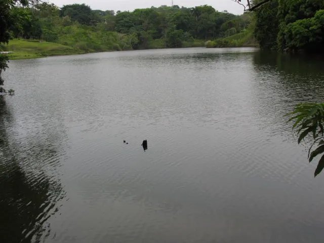 FRENTE AL LAGO