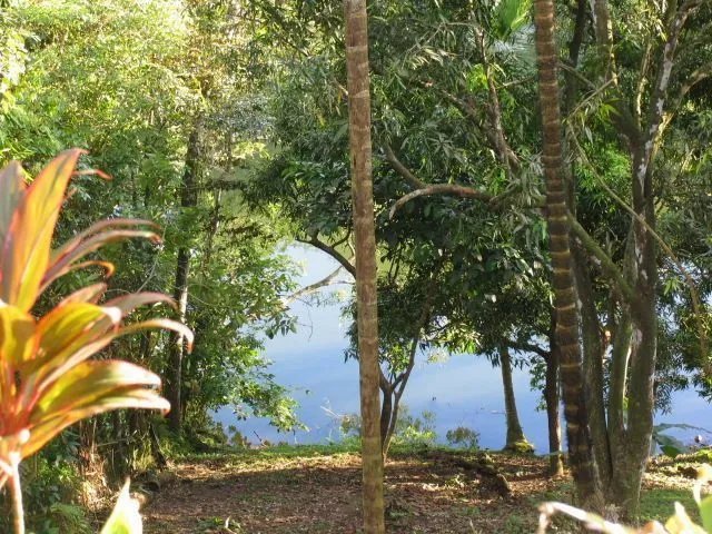 FRENTE AL LAGO