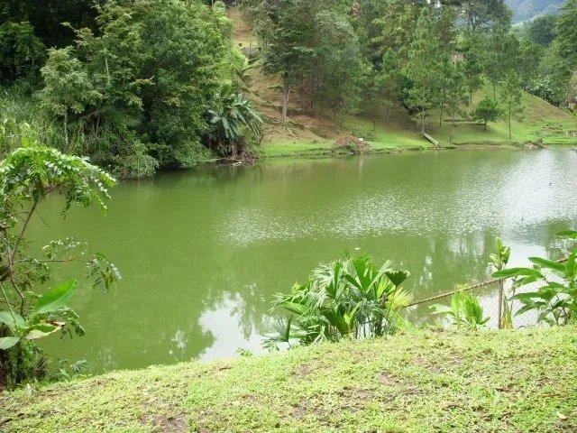 FRENTE AL LAGO