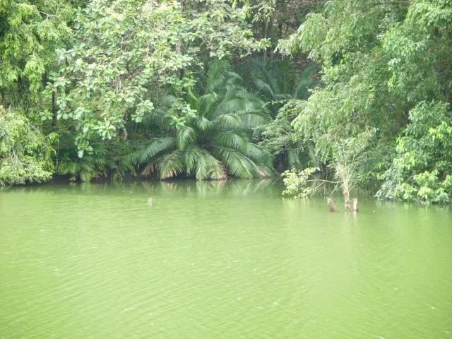 FRENTE AL LAGO