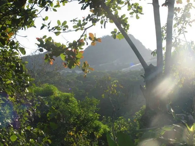 FRENTE AL LAGO