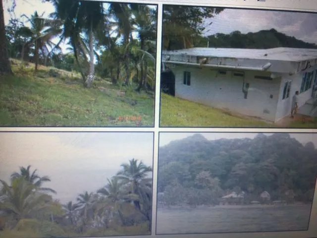 EN ISLA GRANDE