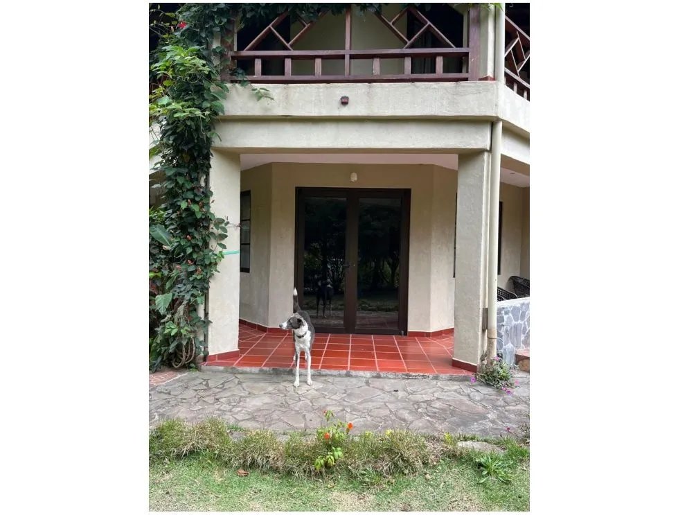 VENTA CASA PALO ALTO, BOQUETE. LM